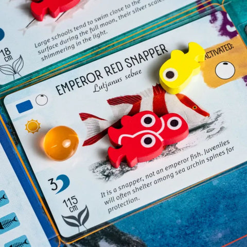 Finspan Upgrade Pack