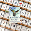 PREVENTA - Wingspan Pocket (Inglés)